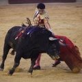 Castellón, Magdalena 2013