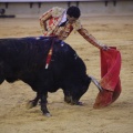 Castellón, Magdalena 2013