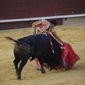 Castellón, Magdalena 2013