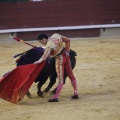 Castellón, Magdalena 2013