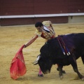 Castellón, Magdalena 2013
