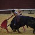 Castellón, Magdalena 2013