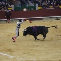 Castellón, Magdalena 2013