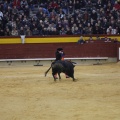 Castellón, Magdalena 2013