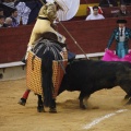 Castellón, Magdalena 2013