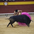 Castellón, Magdalena 2013