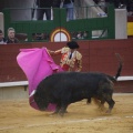 Castellón, Magdalena 2013