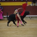 Castellón, Magdalena 2013