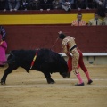 Castellón, Magdalena 2013