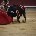 Castellón, Magdalena 2013