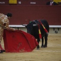 Castellón, Magdalena 2013