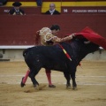 Castellón, Magdalena 2013