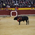 Castellón, Magdalena 2013