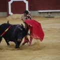Castellón, Magdalena 2013