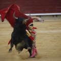 Castellón, Magdalena 2013