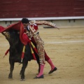 Castellón, Magdalena 2013
