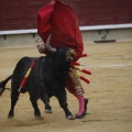 Castellón, Magdalena 2013