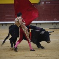 Castellón, Magdalena 2013