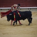 Castellón, Magdalena 2013