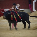 Castellón, Magdalena 2013