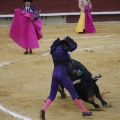 Castellón, Magdalena 2013