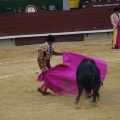 Castellón, Magdalena 2013