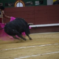 Castellón, Magdalena 2013