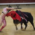 Castellón, Magdalena 2013