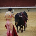 Castellón, Magdalena 2013