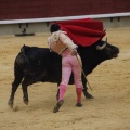 Castellón, Magdalena 2013
