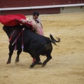 Castellón, Magdalena 2013