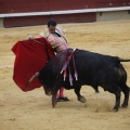 Castellón, Magdalena 2013