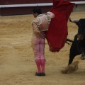 Castellón, Magdalena 2013