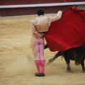 Castellón, Magdalena 2013