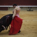 Castellón, Magdalena 2013