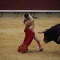 Castellón, Magdalena 2013