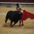 Castellón, Magdalena 2013