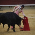 Castellón, Magdalena 2013