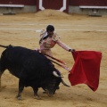 Castellón, Magdalena 2013