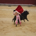 Castellón, Magdalena 2013