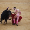 Castellón, Magdalena 2013