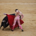 Castellón, Magdalena 2013