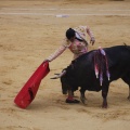 Castellón, Magdalena 2013