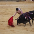 Castellón, Magdalena 2013