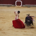Castellón, Magdalena 2013