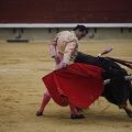 Castellón, Magdalena 2013