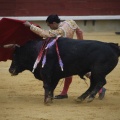 Castellón, Magdalena 2013