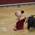 Castellón, Magdalena 2013