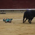 Castellón, Magdalena 2013
