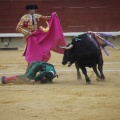 Castellón, Magdalena 2013
